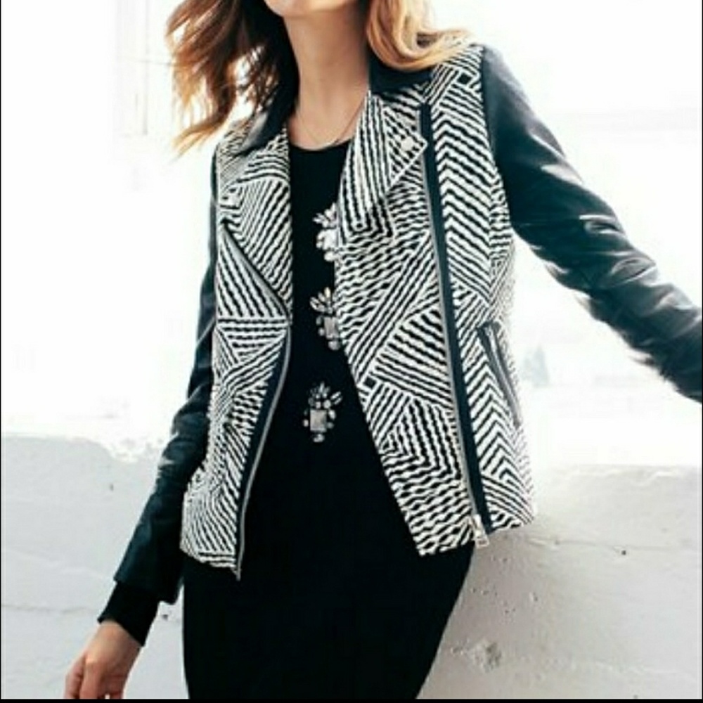 NWOT Potter's Pot Chevron Moto Jacket Size…
